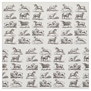 Tissu Classique Unicorne Antique Mythique Magie Créature