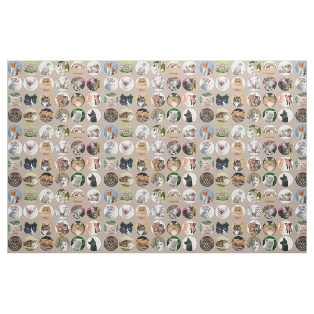 Tissu Clever Cats Fabric (Fat Quarter)