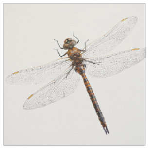 Tissu Closeuse d'une libellule de Darner du Canada