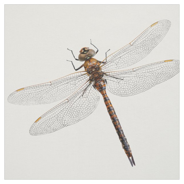 Tissu Closeuse d'une libellule de Darner du Canada (Échantillon)