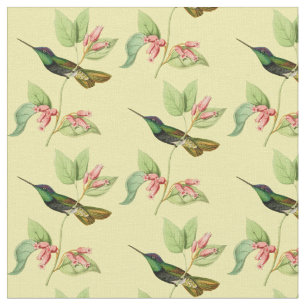 Tissu Colibri magnifique vintage