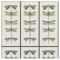 Collection de libellules par Chariklia Zarris