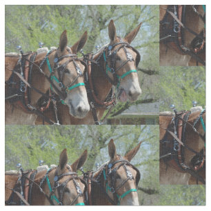 Tissu Colombie, jours de mule de TN