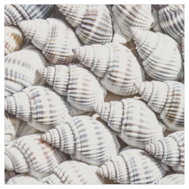 Tissu coquillages (Fermer)