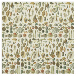 Tissu Coquillages de coquillages Mollusk Clam Élégant Ar
