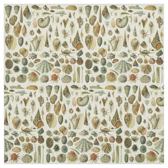 Tissu Coquillages de coquillages Mollusk Clam Élégant Ar (Échantillon)