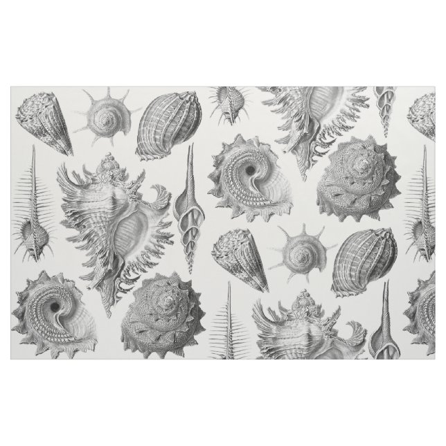 Tissu Coquillages vintages (Fat Quarter)