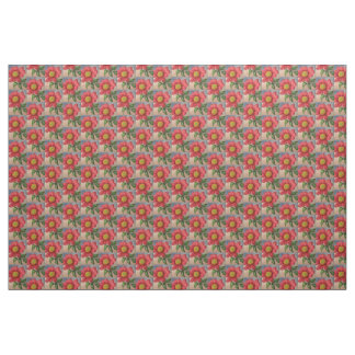 Tissu Cottage de Pima