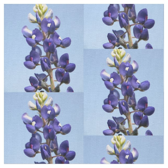 Tissu de Bluebonnet de Texas (Fermer)