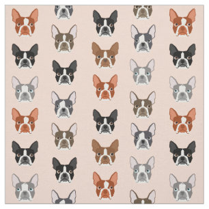 Tissu de Boston Terrier Heads