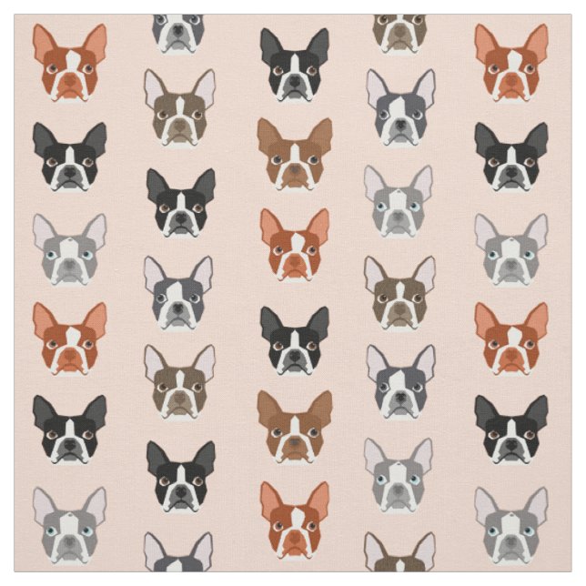 Tissu de Boston Terrier Heads (Échantillon)