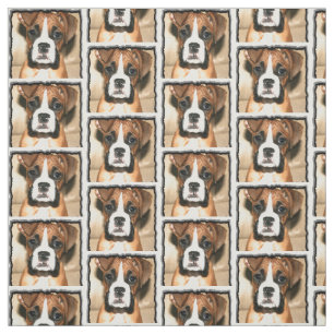 Tissu de coutume de chien de boxeur