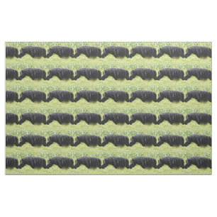 Tissu de jument et d'étalon de poney de Shetland