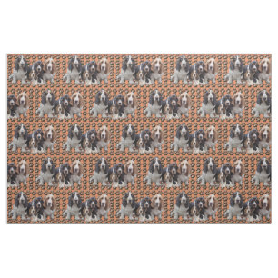 Tissu de la coque des actifs