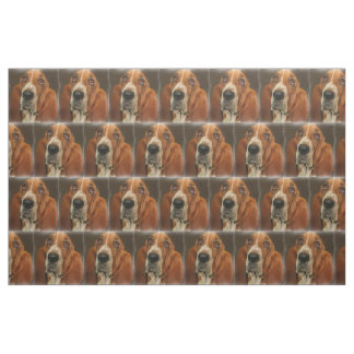 Tissu de la race de chien de Basset Hound