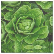 Tissu de photo de laitue de Romaine