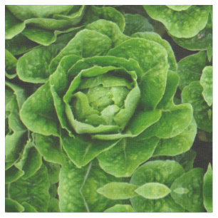 Tissu de photo de laitue de Romaine