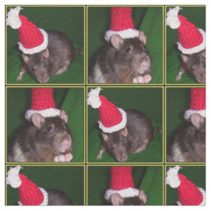 Tissu de rat de Père Noël