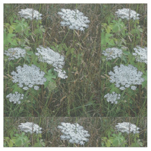 Tissu Dentelle blanche de la Reine Anne Fleur sauvage