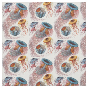 Tissu Discomedusae d'Ernst Haeckel
