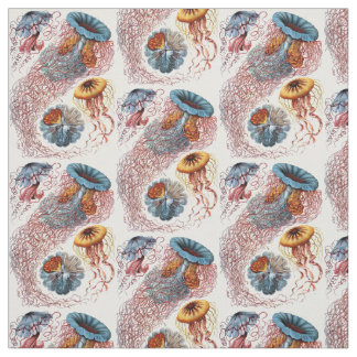 Tissu Discomedusae d'Ernst Haeckel