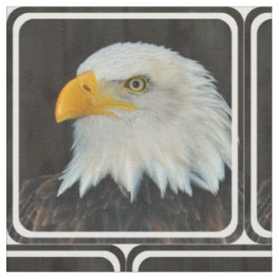 Tissu Eagle