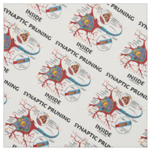 Tissu Élagage synaptique à l'intérieur de la neurolog