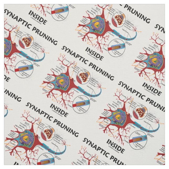 Tissu Élagage synaptique à l'intérieur de la neurologie (Échantillon)