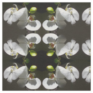 Tissu Elégante orchidée blanche photo tropical blanc flo