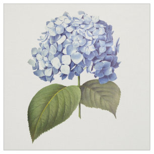Tissu Élégante Vintage Botanique Bleue Hydrangée Fleur