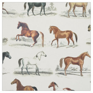 Tissu Élégantes races Vintages de chevaux