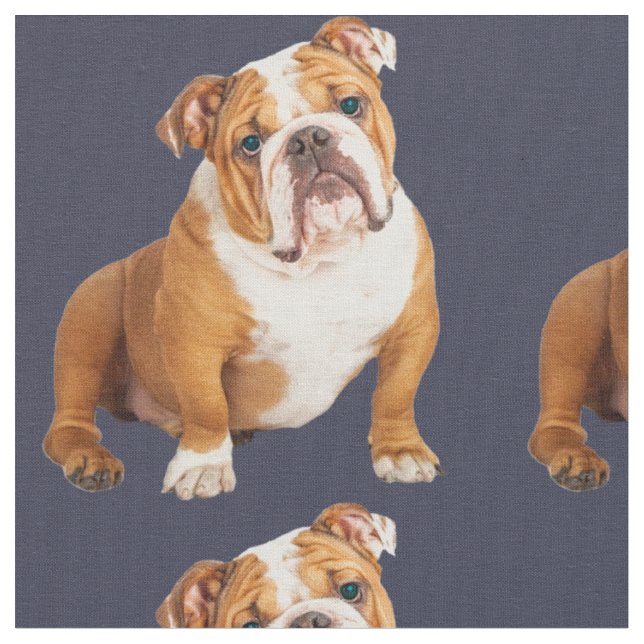 Tissu English Bulldog Dog pop art familier (Fermer)