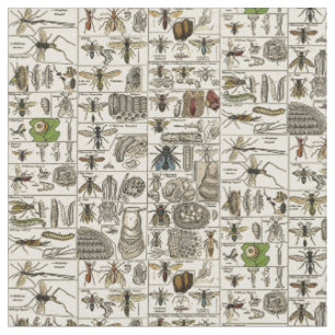 Tissu Entomologie vintage