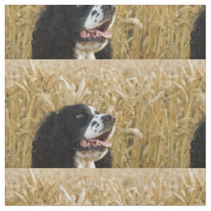 Tissu épagneul de springer anglais dans wheat.png