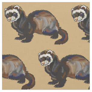 Tissu ferret (Mustela putorius furo)