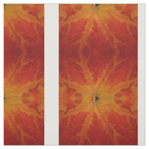 Tissu Feuille d'érable rouge Abstraite Automne Photograp