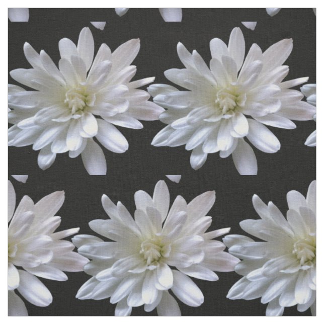 Tissu Fleurs blanches motifs de marguerite (Échantillon)