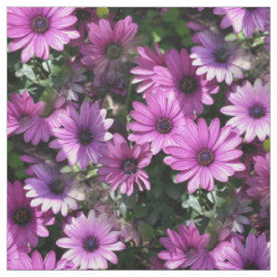 Tissu Fleurs de marguerite pourpres d'Afrique Nature Mot