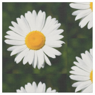 Tissu fleurs de marguerite sur le motif vert