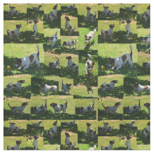 Tissu Fox Terrier Photo Collage,