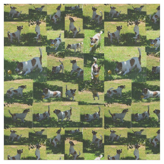 Tissu Fox Terrier Photo Collage, (Fermer)