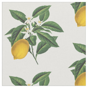 Tissu Fruit de citron vintage