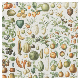 Tissu Fruits de Millot Adolphe