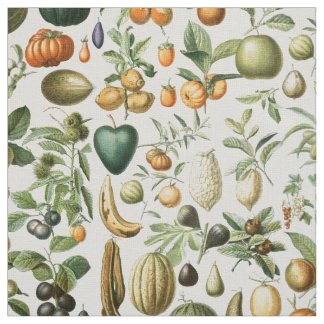 Tissu Fruits de Millot Adolphe