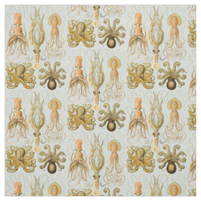 Tissu Gamochonia d'Ernst Haeckel (Échantillon)