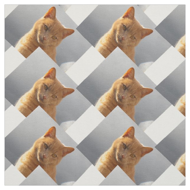 Tissu Ginger cat Merlin (Échantillon)