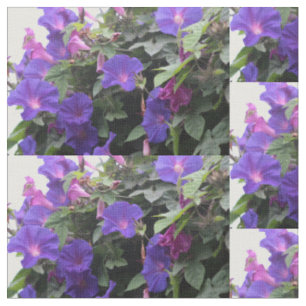 Tissu gloires matinales bleues, gloires, gloires matinal