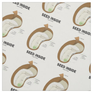 Tissu Graine à l'intérieur d'humour d'anatomie d'haric