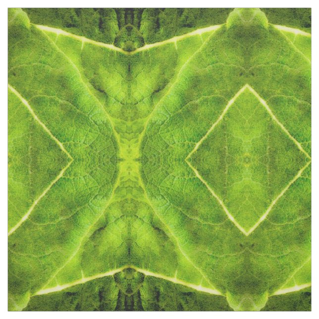 Tissu Green Mullein (Échantillon)