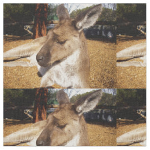 Tissu Gros plan sur un kangourou australien endormi,